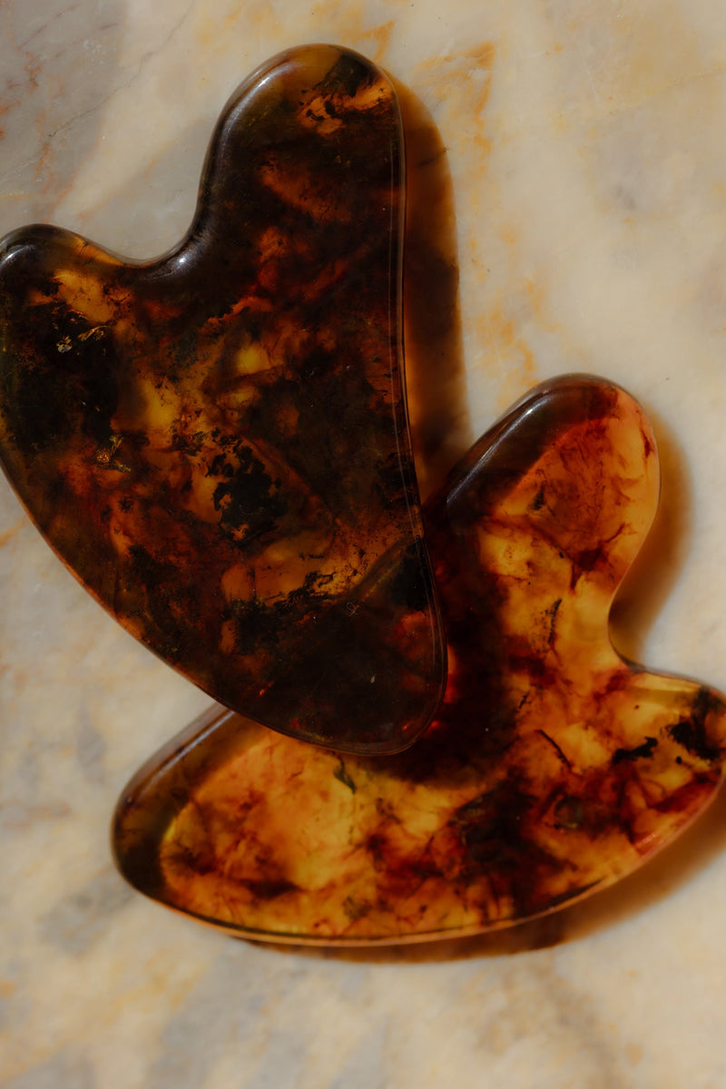 Baltic amber is older than the language we use to describe it.