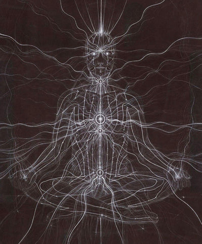 The Nervous System
