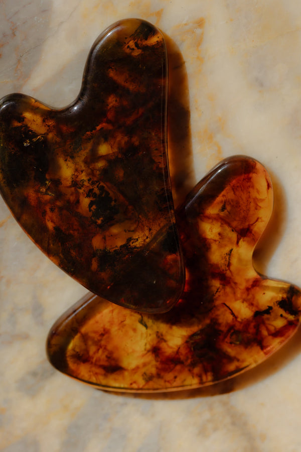 Baltic amber is older than the language we use to describe it.