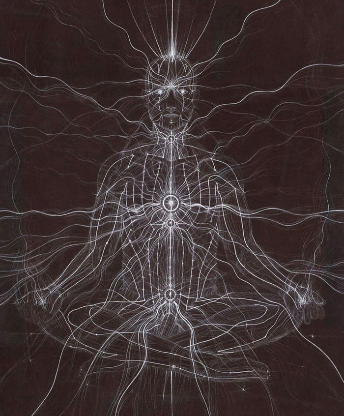 The Nervous System