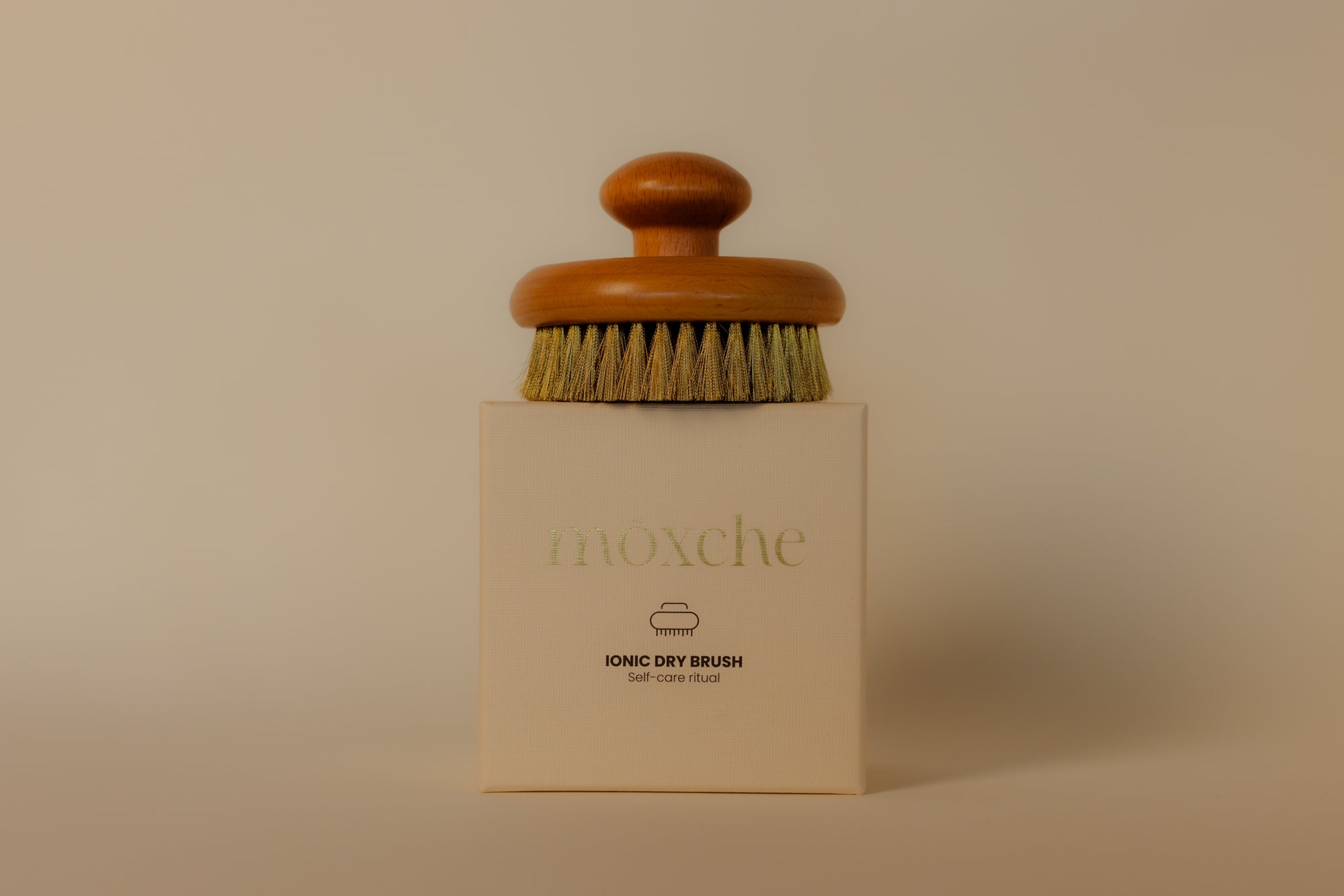 Beech Brush
