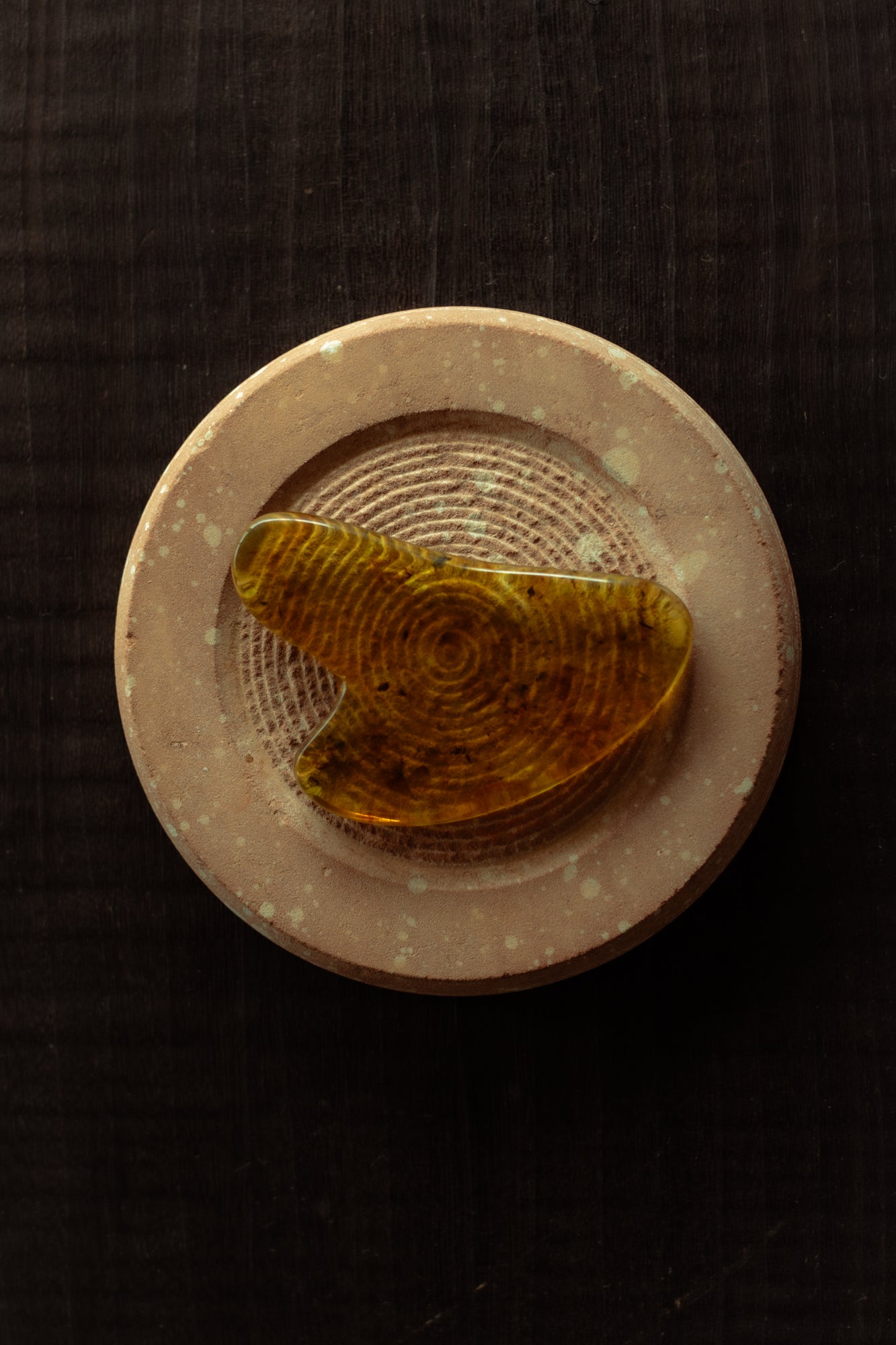 Baltic amber is older than the language we use to describe it.
